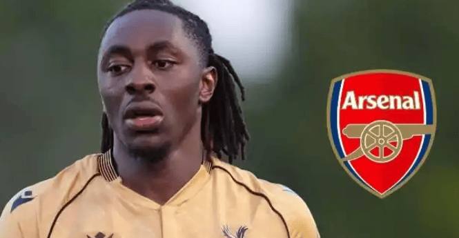 恭喜阿森纳！持球核心官宣加盟！顶级能力完美适配，激活头牌中锋